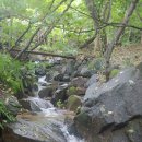 천송펜션 이미지