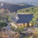 관매정 | 2026 사유원 예약 꿀팁｜매화축제 일정·주차·환불규정 총정리