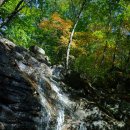 산머루펜션 - 가평군 청군로 309 | 산머루펜션