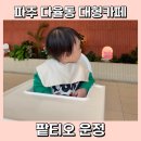파주 대형카페 해오름마을 다율동 팥티오 운정 아기의자