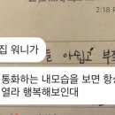 (주)트러플플러스