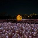 신경주역관광안내소 이미지