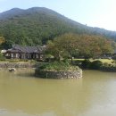 동백산방 이미지