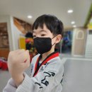무궁화태권도장 차오름관 | &lt;관평동/용산동/관평초/용산초/배울초/동화초/혜원유치원/꿈에그린유치원/관평동태권도/용산동태권도...