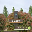 죽도방