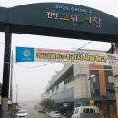 오아시스안과의원 네이버블로그