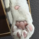 이마트24구미진평중앙점 | 초여름 먹부림 사진 모음