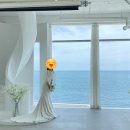 [Wedding] W04. 웨딩촬영 스튜디오 부산 블랑드윈느 드레스 후기