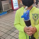 이모네와플 네이버블로그
