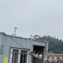 요즘 유튜브에 잘 뜨는 대일수산좌대 후기