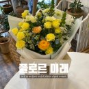 플로르미래 이미지