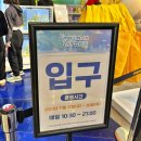 (주)레이델코리아 롯데백화점 광복점 | 부산 아이와: 부산 포켓몬 팝업스토어 방문｜주차｜평일방문｜웨이팅없음｜상품종류많지않음