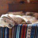 서상동123 이미지