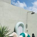 오마틸라 이미지