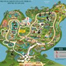 동물원1번 | 싱가포르 동물원 singapore zoo 후기 (지도O)