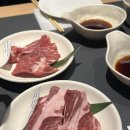 유우히 이미지