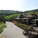 해인 행정사 사무소 이미지