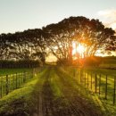 영월행정사사무소 이미지