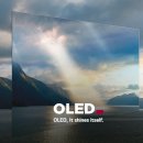 LGD파주2점 기숙사식당 | LG디스플레이, 세상을 더 선명하게 비추다! 기업 소개부터 채용 정보까지 총망라~ [이공계 밥벌이]
