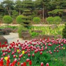 카페달디 이미지