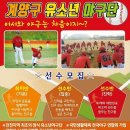 대전드림유소년야구단
