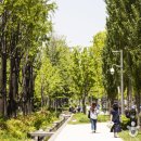 경의선숲길 이미지