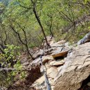 세도농협주유소 이미지