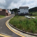 제주대지공인중개사사무소 이미지