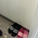 동해를 그리다 | 강원도 동해 묵호 오션뷰숙소 동해를그리다 펜션 숙박 후기