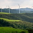 에코그린 이미지