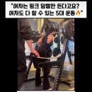 산본역사상가 | 산본 헬스장 한청호 팀장, 1,000건 이상의 피드백 데이터가 증명하는 실력의 차이