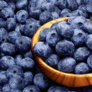 김영찬 농장 이미지