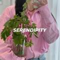 세렌디피티플라워