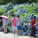 남원읍-77 이미지