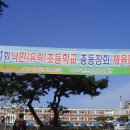 유락 이미지