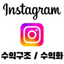 인스타 수익 창출 구조, 인스타 수익화 알아보자
