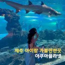 제주도 동쪽 아이랑 제주 아쿠아플라넷 소요시간