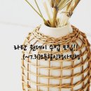 플레드쥬어 이미지