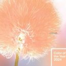 쪽빛나라 이미지