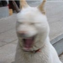 케이카클리닉 이미지