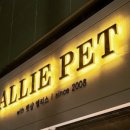 부산강아지분양 앨리펫 이미지