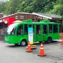 솔향수목원(솔숲광장) 이미지