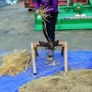 순정농장 이미지