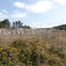 오룡시장 이미지