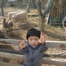 도훈농장 이미지