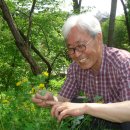 조개박사 이미지