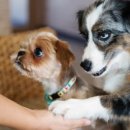 동아농축산 이미지