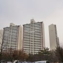 분당-215 이미지