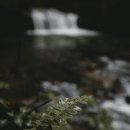 개별환경자원 이미지