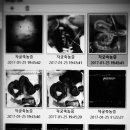 아람 동물병원 이미지